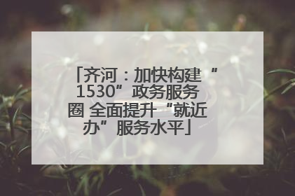 齐河：加快构建“1530”政务服务圈 全面提升“就近办”服务水平