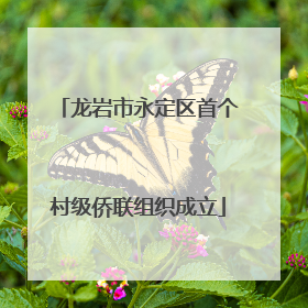 龙岩市永定区首个村级侨联组织成立
