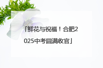 鲜花与祝福！合肥2025中考圆满收官