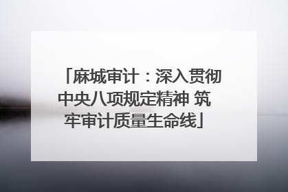 麻城审计：深入贯彻中央八项规定精神 筑牢审计质量生命线