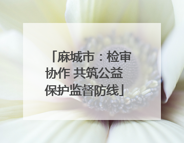 麻城市：检审协作 共筑公益保护监督防线