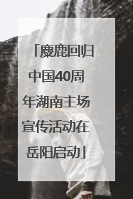 麋鹿回归中国40周年湖南主场宣传活动在岳阳启动