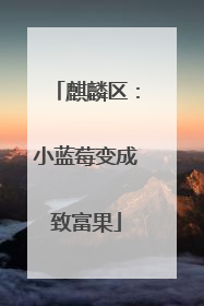 麒麟区：小蓝莓变成致富果