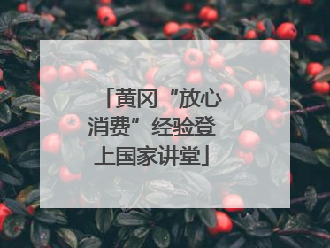黄冈“放心消费”经验登上国家讲堂