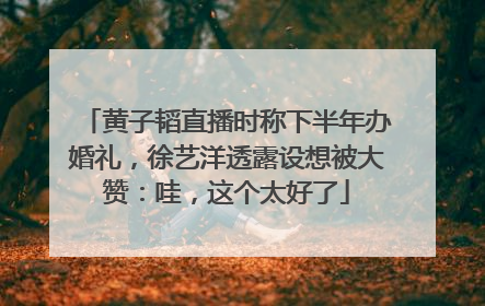 黄子韬直播时称下半年办婚礼，徐艺洋透露设想被大赞：哇，这个太好了