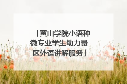 黄山学院小语种微专业学生助力景区外语讲解服务