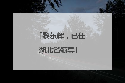 黎东辉，已任湖北省领导