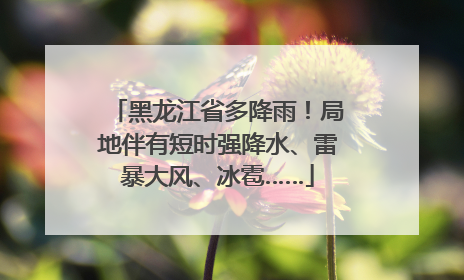 黑龙江省多降雨！局地伴有短时强降水、雷暴大风、冰雹……
