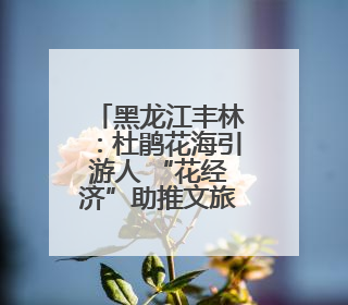 黑龙江丰林：杜鹃花海引游人 “花经济”助推文旅新热潮