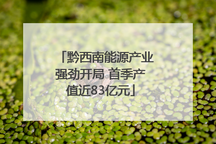 黔西南能源产业强劲开局 首季产值近83亿元
