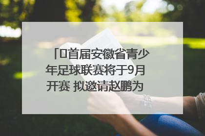 ﻿首届安徽省青少年足球联赛将于9月开赛 拟邀请赵鹏为先导赛开球