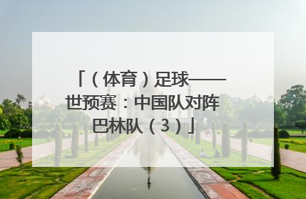 （体育）足球——世预赛：中国队对阵巴林队（3）