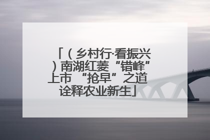 （乡村行·看振兴）南湖红菱“错峰”上市 “抢早”之道诠释农业新生