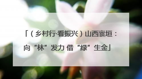 （乡村行·看振兴）山西襄垣：向“林”发力 借“绿”生金