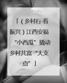 （乡村行·看振兴）江西安福“小西瓜”撬动乡村共富“大支点”