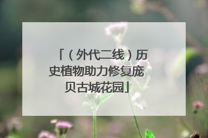 （外代二线）历史植物助力修复庞贝古城花园