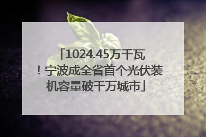 1024.45万千瓦！宁波成全省首个光伏装机容量破千万城市