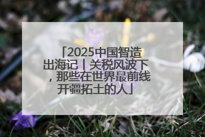 2025中国智造出海记丨关税风波下，那些在世界最前线开疆拓土的人