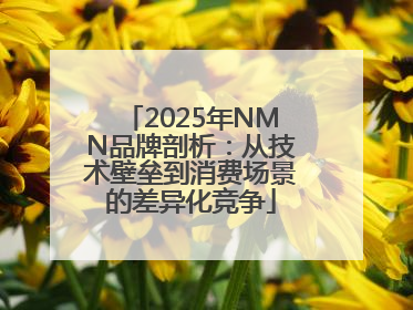 2025年NMN品牌剖析：从技术壁垒到消费场景的差异化竞争