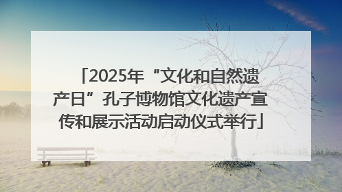 2025年“文化和自然遗产日”孔子博物馆文化遗产宣传和展示活动启动仪式举行