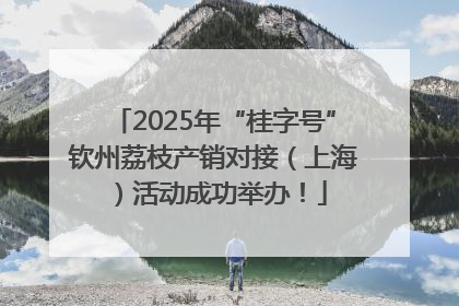 2025年“桂字号”钦州荔枝产销对接（上海）活动成功举办！