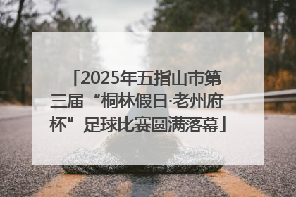 2025年五指山市第三届“桐林假日·老州府杯”足球比赛圆满落幕