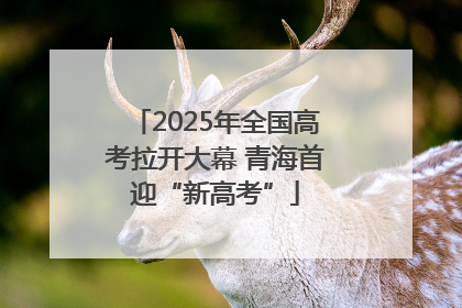 2025年全国高考拉开大幕 青海首迎“新高考”