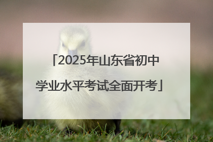 2025年山东省初中学业水平考试全面开考