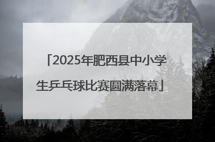 2025年肥西县中小学生乒乓球比赛圆满落幕