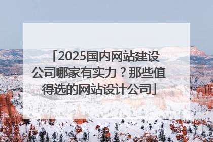 2025国内网站建设公司哪家有实力？那些值得选的网站设计公司