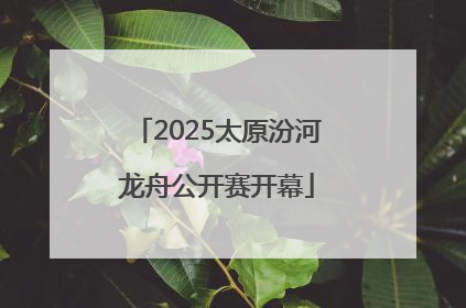 2025太原汾河龙舟公开赛开幕