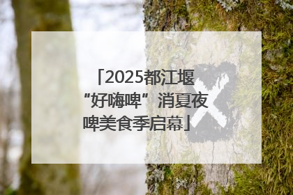 2025都江堰“好嗨啤”消夏夜啤美食季启幕