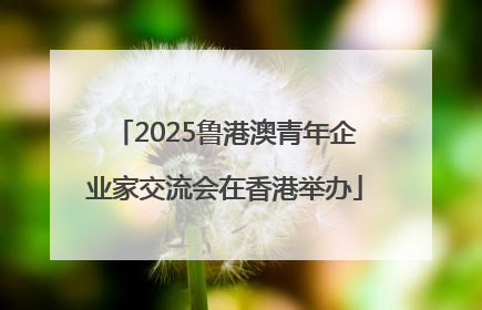 2025鲁港澳青年企业家交流会在香港举办