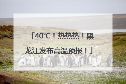 40℃！热热热！黑龙江发布高温预报！