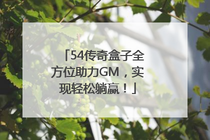 54传奇盒子全方位助力GM，实现轻松躺赢！