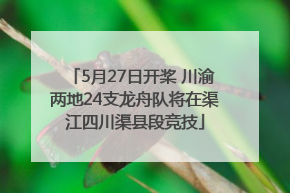 5月27日开桨 川渝两地24支龙舟队将在渠江四川渠县段竞技