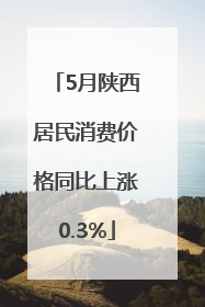 5月陕西居民消费价格同比上涨0.3%