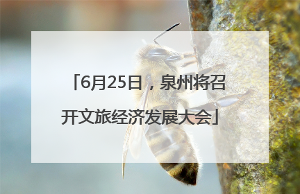 6月25日，泉州将召开文旅经济发展大会
