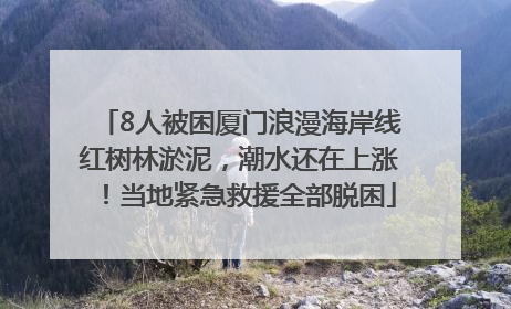 8人被困厦门浪漫海岸线红树林淤泥，潮水还在上涨！当地紧急救援全部脱困