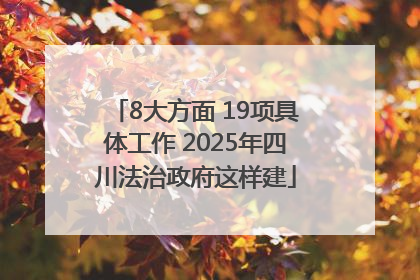 8大方面 19项具体工作 2025年四川法治政府这样建