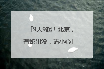 9天9起！北京，有蛇出没，请小心