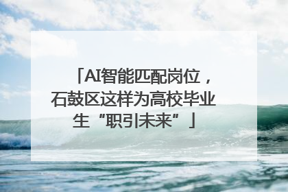 AI智能匹配岗位，石鼓区这样为高校毕业生“职引未来”