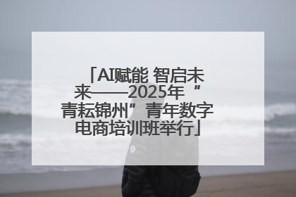 AI赋能 智启未来——2025年“青耘锦州”青年数字电商培训班举行