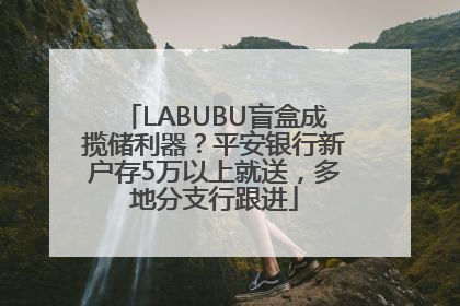 LABUBU盲盒成揽储利器？平安银行新户存5万以上就送，多地分支行跟进