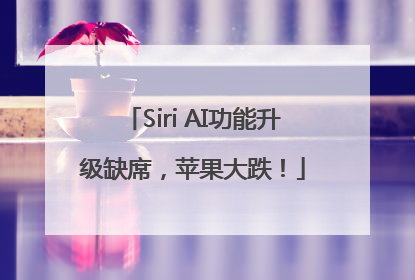 Siri AI功能升级缺席，苹果大跌！