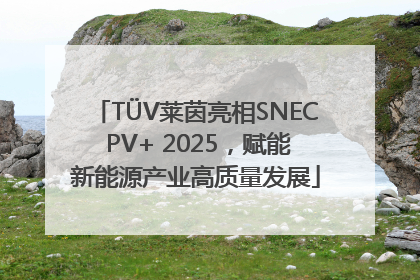 TÜV莱茵亮相SNEC PV+ 2025，赋能新能源产业高质量发展