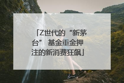 Z世代的“新茅台” 基金重金押注的新消费狂飙